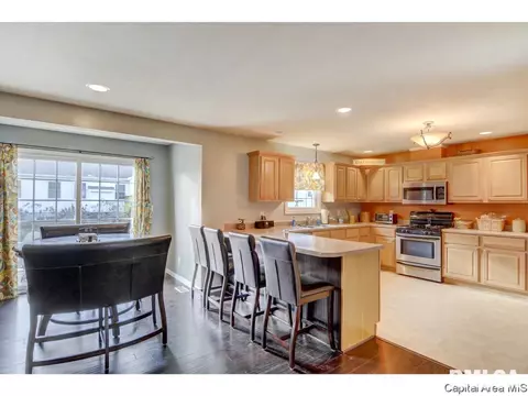 4132 Destiny Dr, Springfield, IL 62712 photo 11