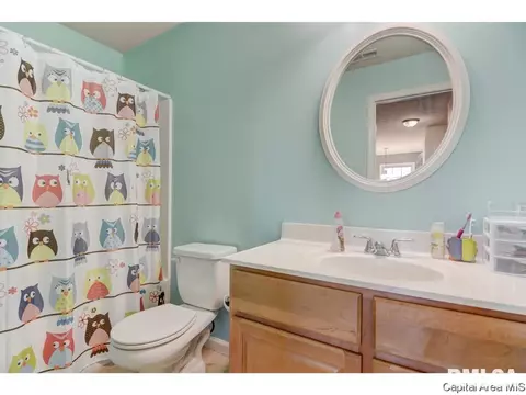 4132 Destiny Dr, Springfield, IL 62712 photo 32