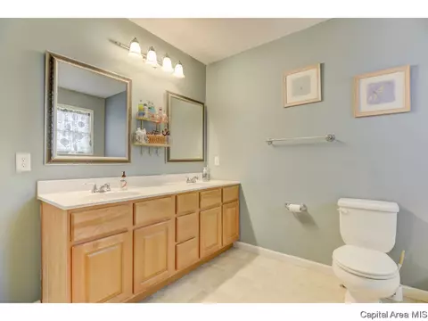 4132 Destiny Dr, Springfield, IL 62712 photo 24