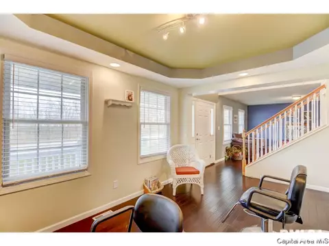 4132 Destiny Dr, Springfield, IL 62712 photo 18