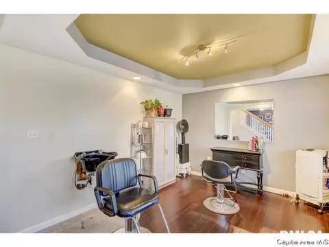 4132 Destiny Dr, Springfield, IL 62712 photo 16
