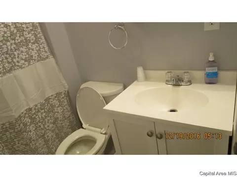 1422 Johnson Ln, Springfield, IL 62702 photo 28
