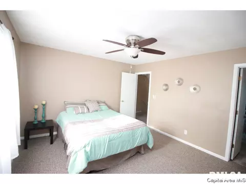 2908 Arlington Dr, Springfield, IL 62704 photo 13