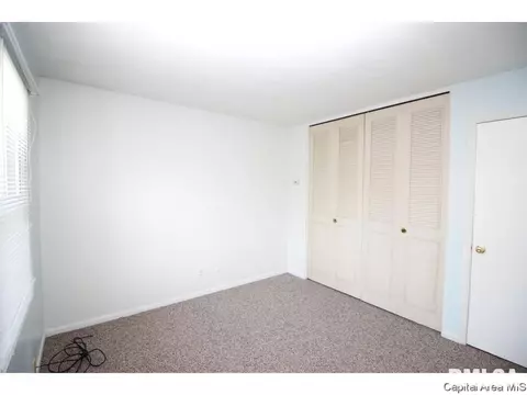 2908 Arlington Dr, Springfield, IL 62704 photo 16