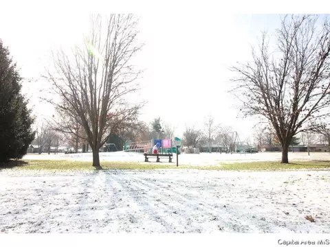 2908 Arlington Dr, Springfield, IL 62704 photo 30