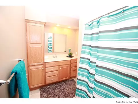 2908 Arlington Dr, Springfield, IL 62704 photo 17