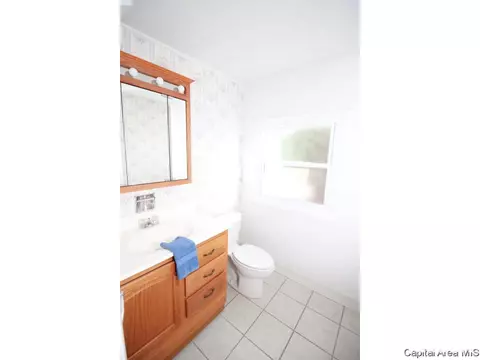 2908 Arlington Dr, Springfield, IL 62704 photo 20