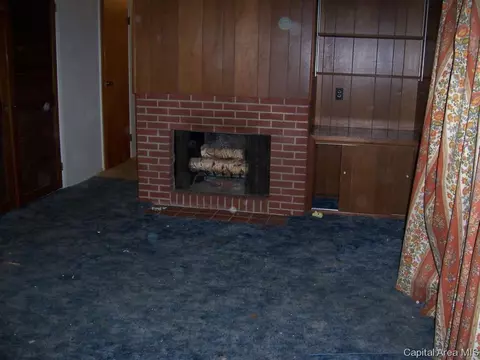 105 Cartwright, Springfield, IL 62704 photo 15