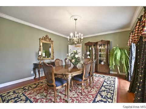 3100 Falcon Pt, Springfield, IL 62711 photo 12