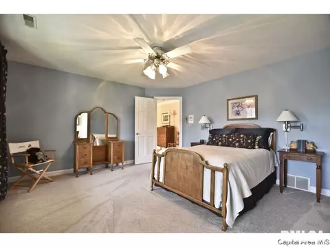 3100 Falcon Pt, Springfield, IL 62711 photo 20