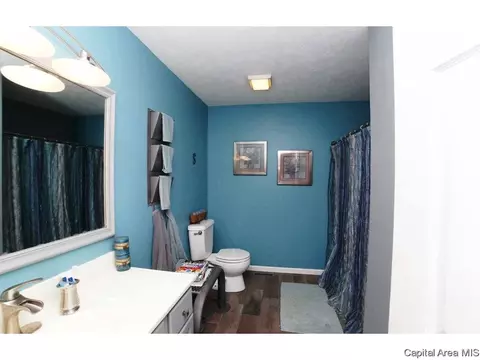 4431 Venetian Dr, Springfield, IL 62703 photo 17