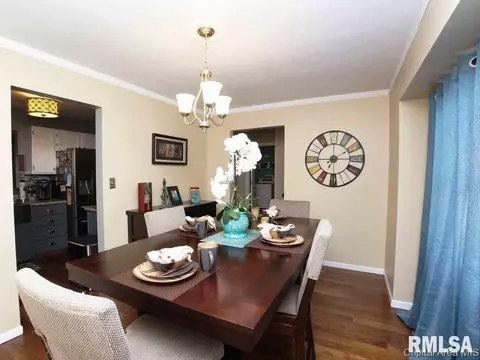 4431 Venetian Dr, Springfield, IL 62703 photo 6