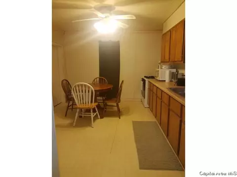 165 E 2nd St, Baylis, IL 62314 photo 4
