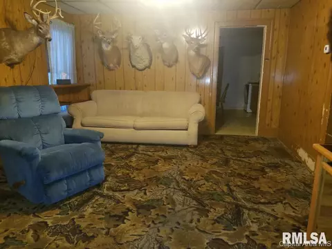 165 E 2nd St, Baylis, IL 62314 photo 9