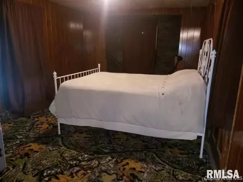 165 E 2nd St, Baylis, IL 62314 photo 7