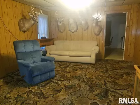 165 E 2nd St, Baylis, IL 62314 photo 8
