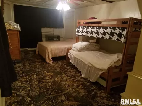 165 E 2nd St, Baylis, IL 62314 photo 6