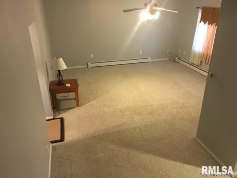 405 N Maple St, Abingdon, IL 61410 photo 13