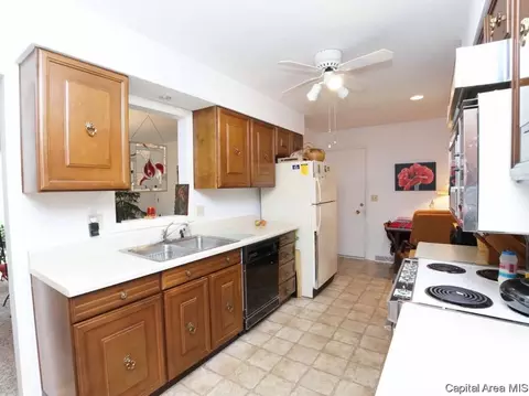 2000 S Noble Ave, Springfield, IL 62704 photo 8
