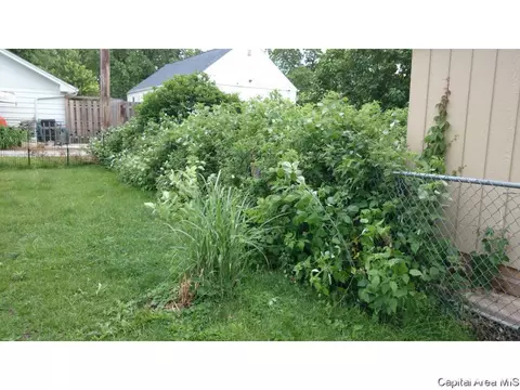 2628 S 9th Street St, Springfield, IL 62703 photo 15