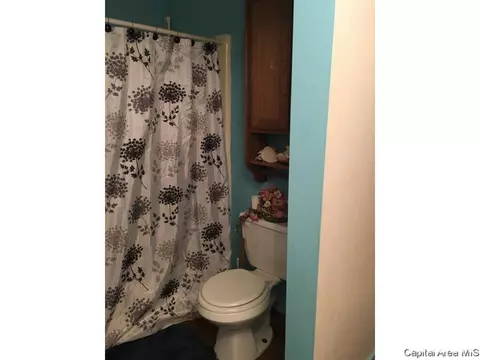 2628 S 9th Street St, Springfield, IL 62703 photo 12
