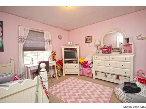 2725 Haggard, Springfield, IL 62711 photo 20