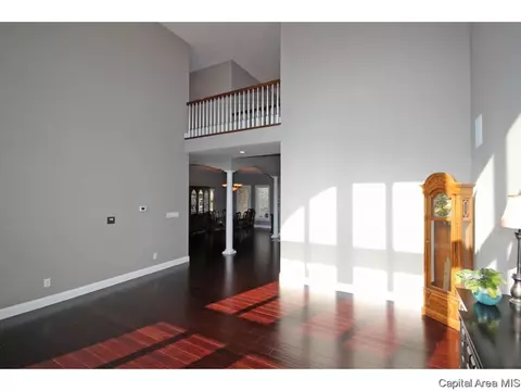 4505 Turtle Bay, Springfield, IL 62711 photo 9