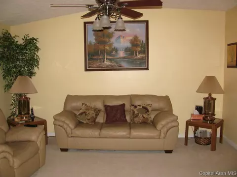 2919 Unit Apt 3 S Meadowbrook Rd, Springfield, IL 62711 photo 11