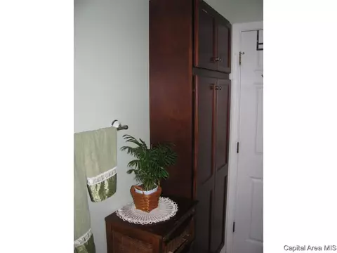 2919 Unit Apt 3 S Meadowbrook Rd, Springfield, IL 62711 photo 12