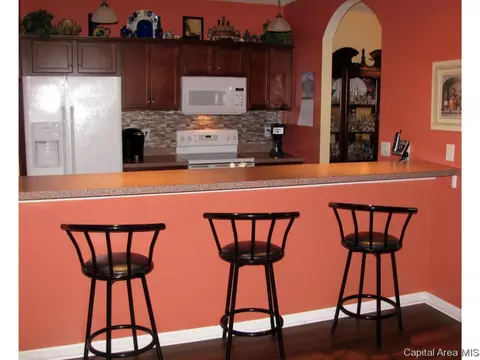 2919 Unit Apt 3 S Meadowbrook Rd, Springfield, IL 62711 photo 5