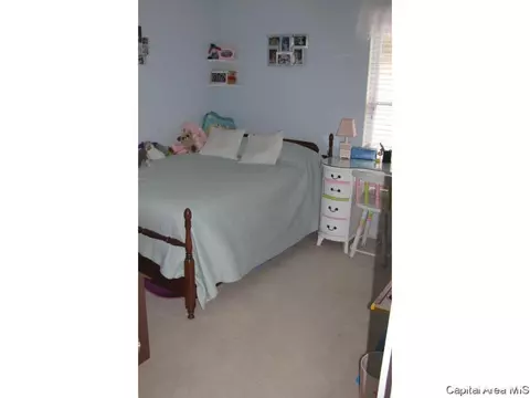 2919 Unit Apt 3 S Meadowbrook Rd, Springfield, IL 62711 photo 16