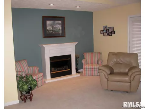 2919 Unit Apt 3 S Meadowbrook Rd, Springfield, IL 62711 photo 10