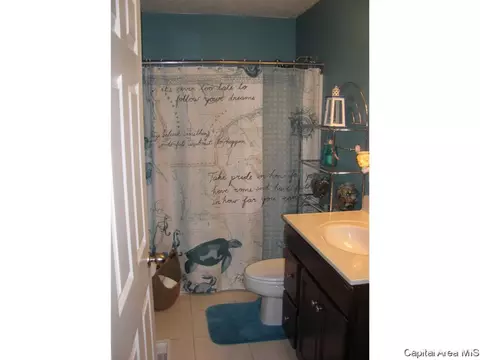 2919 Unit Apt 3 S Meadowbrook Rd, Springfield, IL 62711 photo 9
