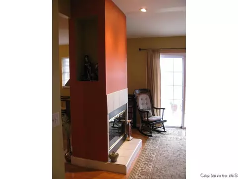 2919 Unit Apt 4 S Meadowbrook Rd, Springfield, IL 62711 photo 15