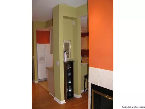 2919 Unit Apt 4 S Meadowbrook Rd, Springfield, IL 62711 photo 17