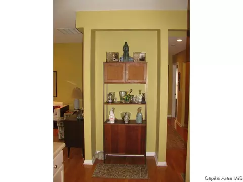 2919 Unit Apt 4 S Meadowbrook Rd, Springfield, IL 62711 photo 12