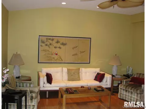 2919 Unit Apt 4 S Meadowbrook Rd, Springfield, IL 62711 photo 13