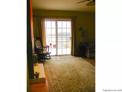 2919 Unit Apt 4 S Meadowbrook Rd, Springfield, IL 62711 photo 14