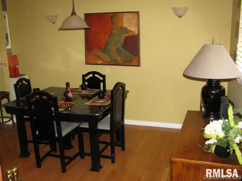 2919 Unit Apt 4 S Meadowbrook Rd, Springfield, IL 62711 photo 11