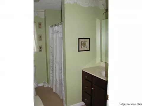2919 Unit Apt 4 S Meadowbrook Rd, Springfield, IL 62711 photo 21