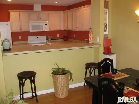 2919 Unit Apt 4 S Meadowbrook Rd, Springfield, IL 62711 photo 7