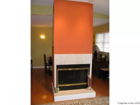 2919 Unit Apt 4 S Meadowbrook Rd, Springfield, IL 62711 photo 16