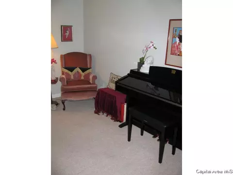 2919 Unit Apt 4 S Meadowbrook Rd, Springfield, IL 62711 photo 20