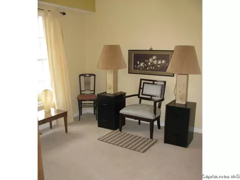2919 Unit Apt 4 S Meadowbrook Rd, Springfield, IL 62711 photo 18