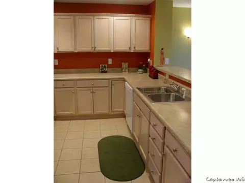 2919 Unit Apt 4 S Meadowbrook Rd, Springfield, IL 62711 photo 6