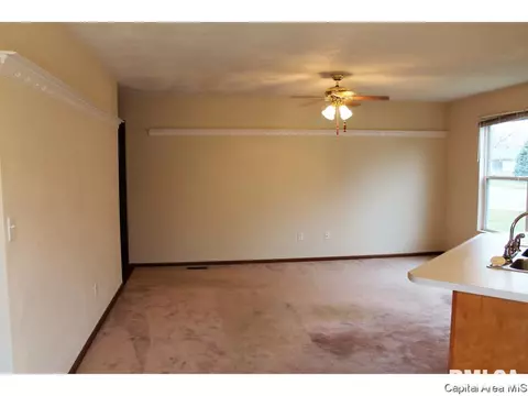 2921 Dunwich, Springfield, IL 62702 photo 32