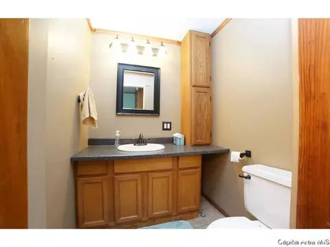 1908 S Spring St, Springfield, IL 62704 photo 19