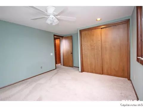 26 Forest Green Dr, Springfield, IL 62711 photo 22