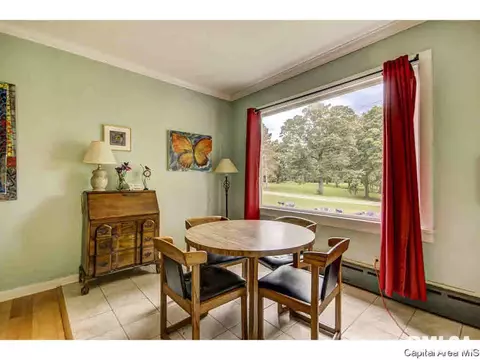 414 E Black Ave, Springfield, IL 62702 photo 7