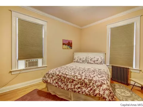 414 E Black Ave, Springfield, IL 62702 photo 29